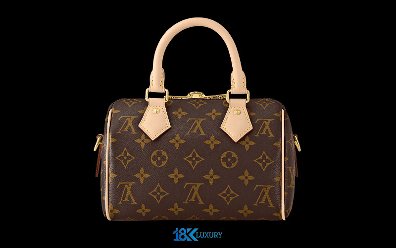 lv speedy bag