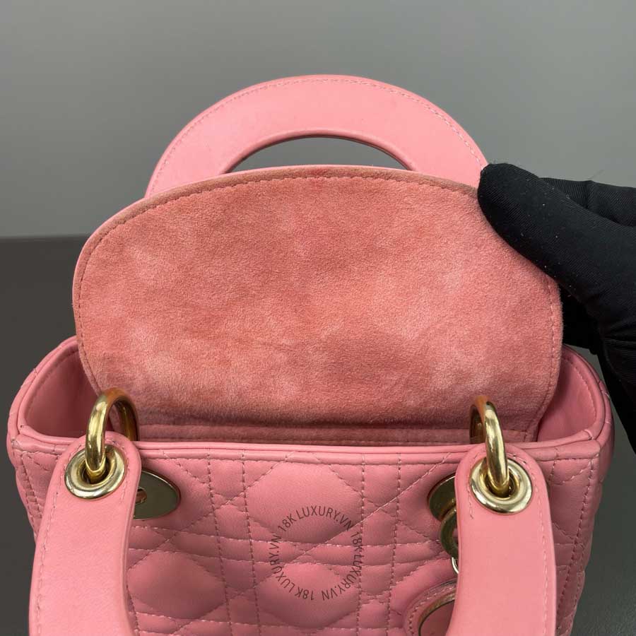 tui dior lady hong (9)