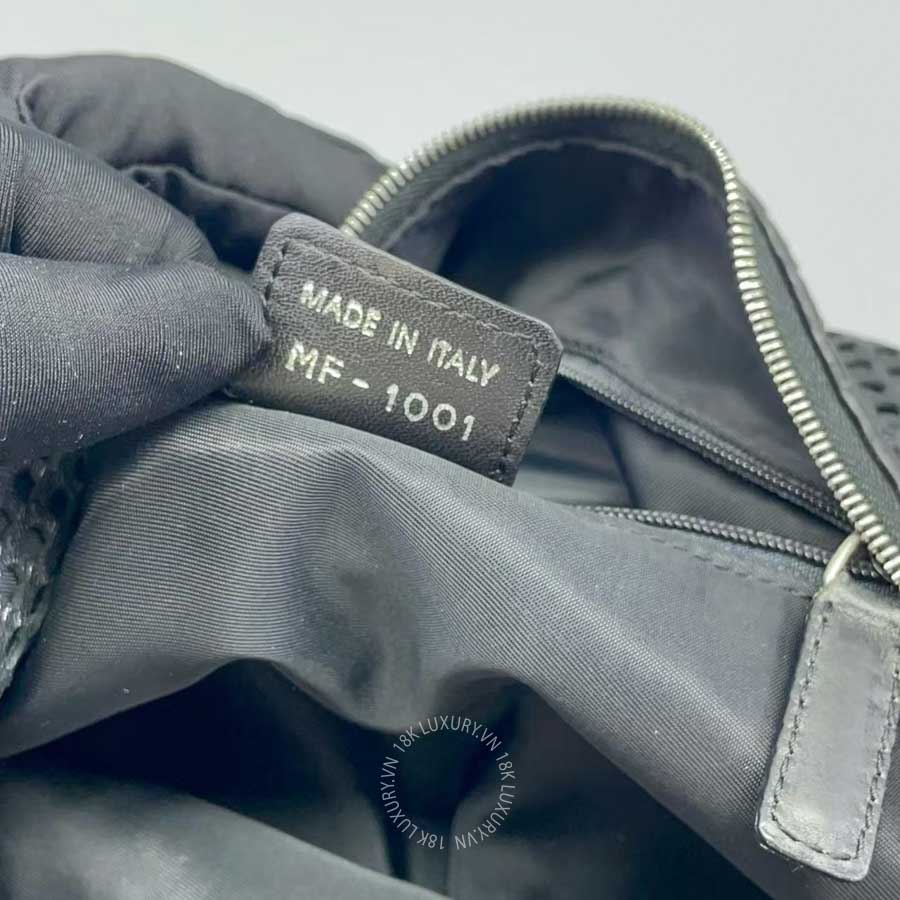 tui xach nu dior (10)