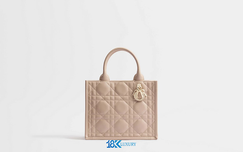 tui dior book tote (3)