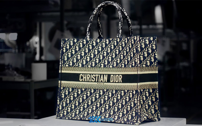 tui dior book tote (5)