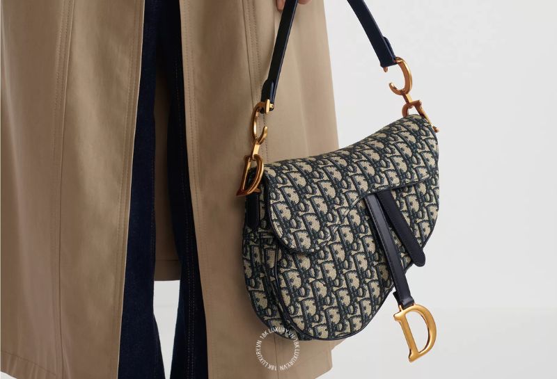 cac mau tui xach cao cap hot nhat Mẫu túi Dior Saddle Oblique Jacquard Blue