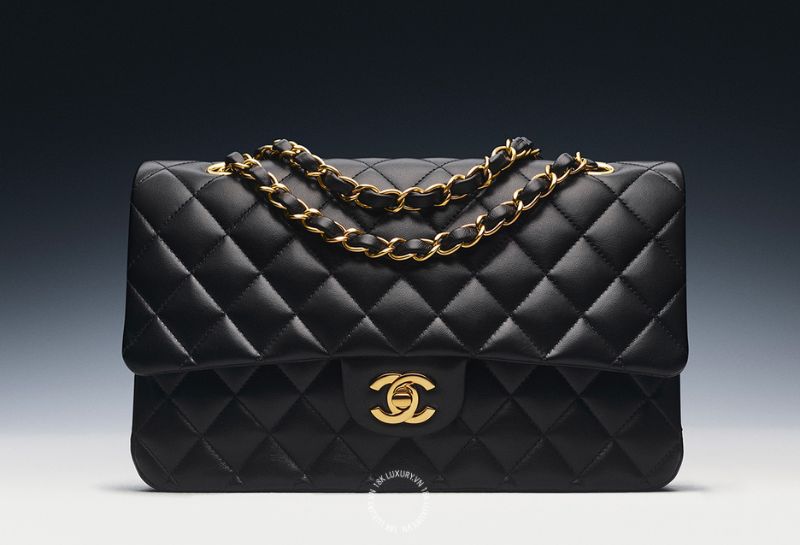 Mẫu túi Chanel Classic Flap Bag màu đen