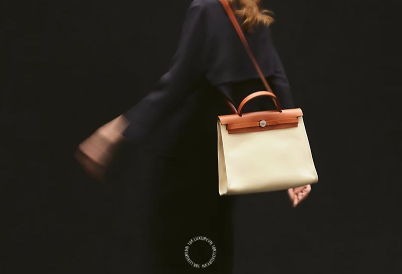 Mẫu túi Hermes Herbag Zip 31