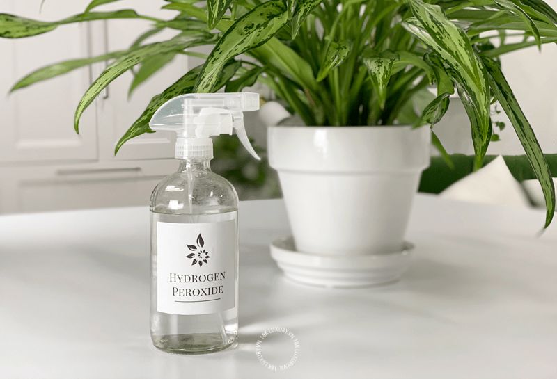 Tẩy ố giày bằng Oxy già 3%
