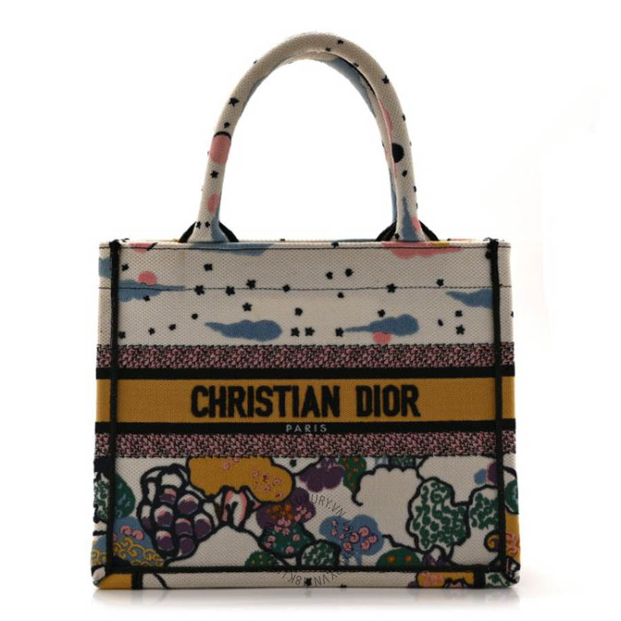 Túi xách Christian Dior Canvas Embroidered Ciel De Reve Small Book Tote Latte Multicolor FPTD062