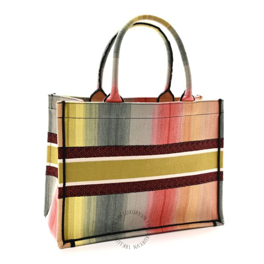 Túi xách Christian Dior Canvas Embroidered Medium Dioraura Book Tote Multicolor DIO232