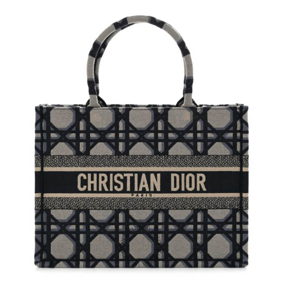 Túi xách Christian Dior Canvas Macrocannage Embroidered Medium Book Tote Beige Blue FPTD190