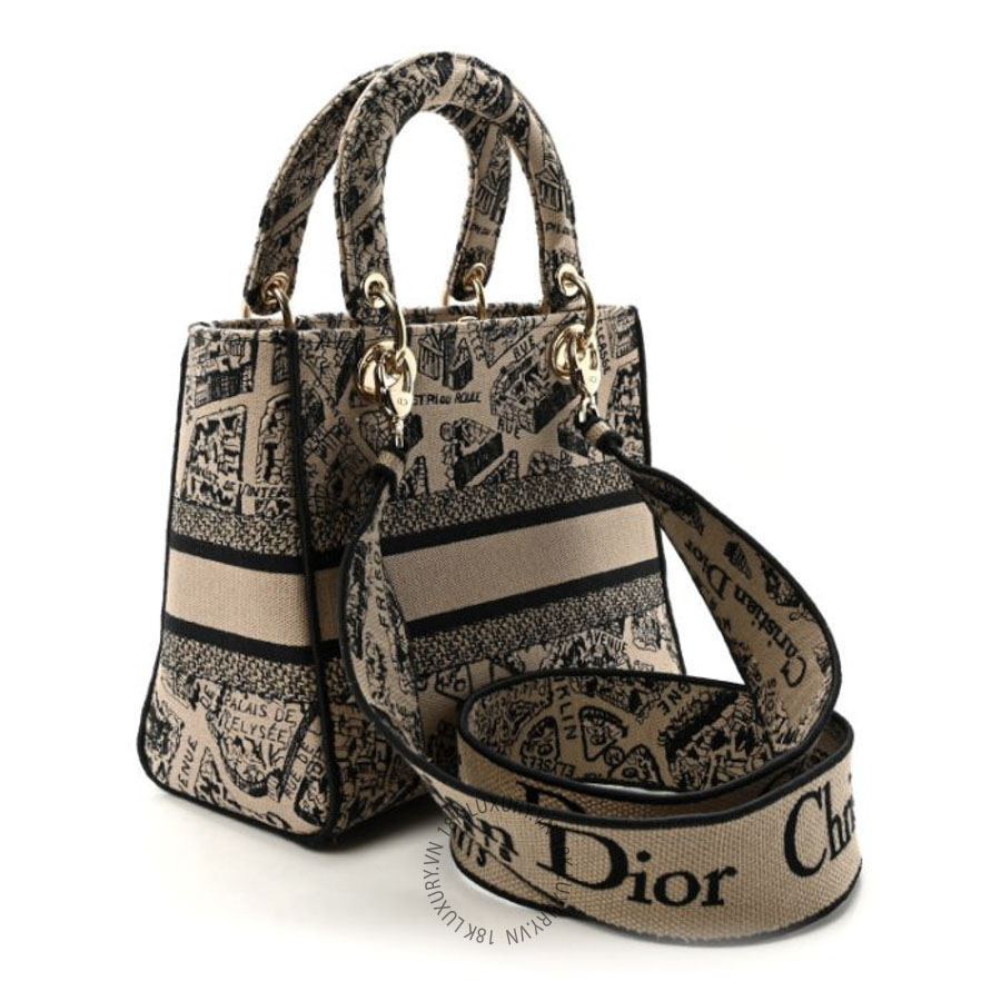 Túi Xách Đeo Chéo Christian Dior Canvas Embroidered Medium Plan de Paris Lady D-Lite Beige Black SPSS104
