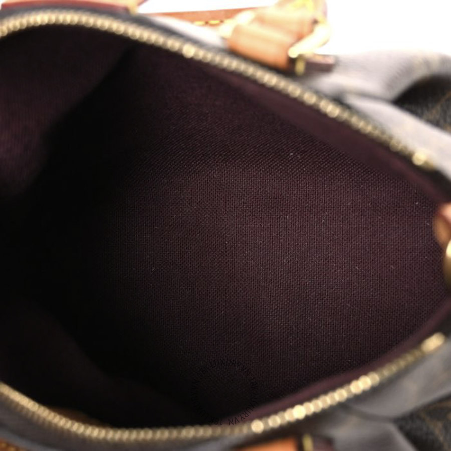 Túi Xách Đeo Chéo Louis Vuitton Monogram Nano Turenne MNGR859 17 Túi Xách Đeo Chéo Louis Vuitton Monogram Nano Turenne MNGR859