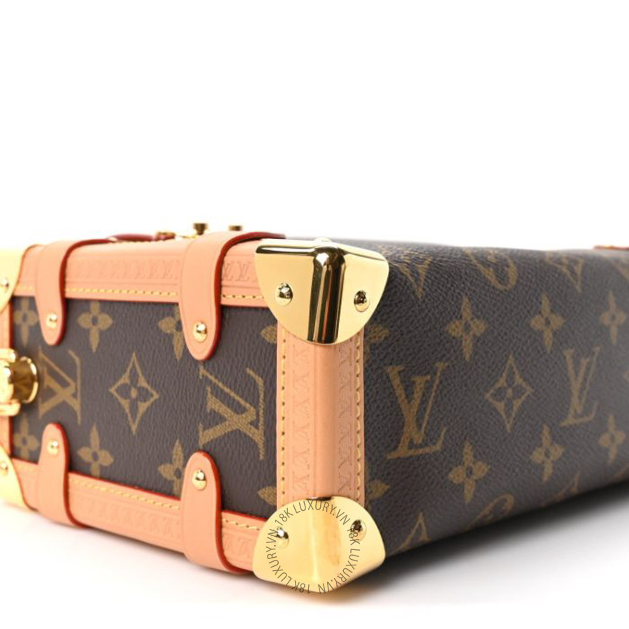 Túi xách đeo chéo Louis Vuitton Monogram Side Trunk FPNG056 11 Túi xách đeo chéo Louis Vuitton Monogram Side Trunk FPNG056
