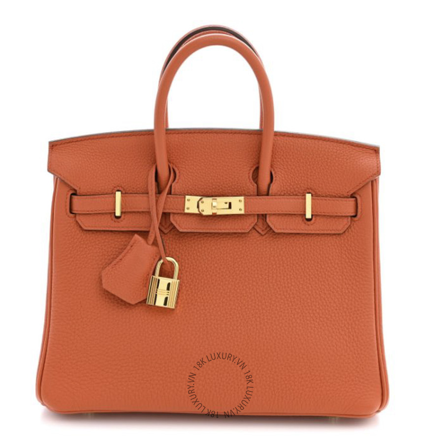 Túi Xách Hermes Togo Birkin 25 Terre Battue TMH234