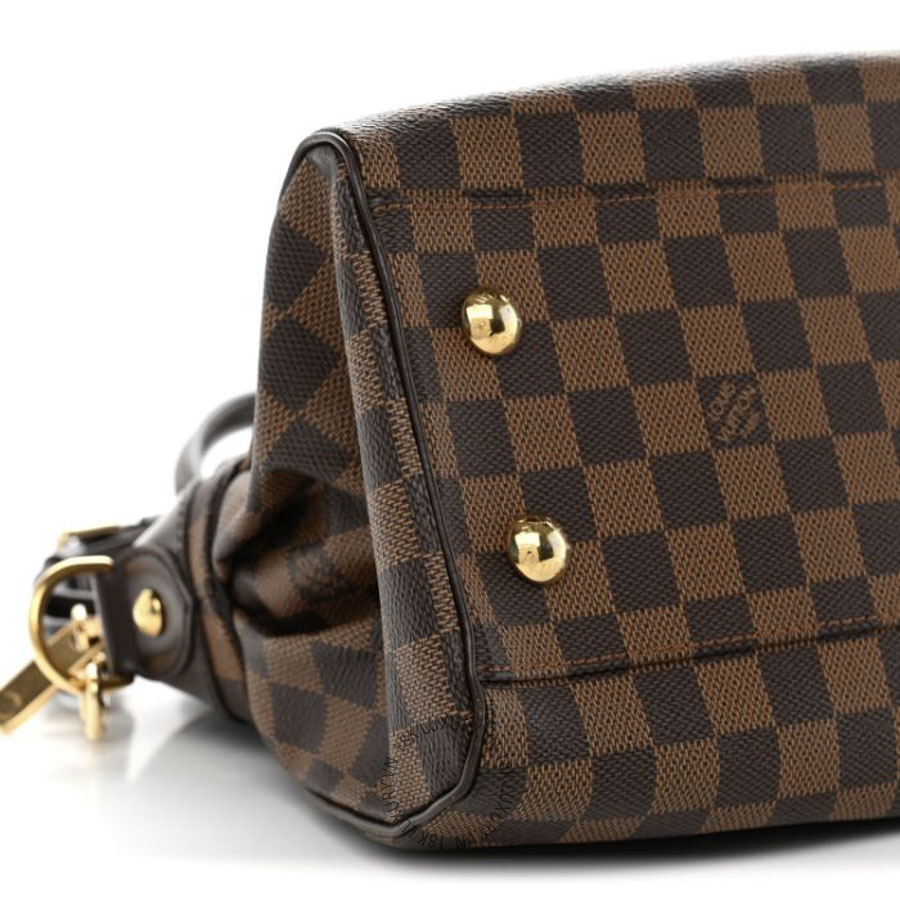 Túi Xách Louis Vuitton Damier Ebene Trevi PM MNGR183 19 Túi Xách Louis Vuitton Damier Ebene Trevi PM MNGR183