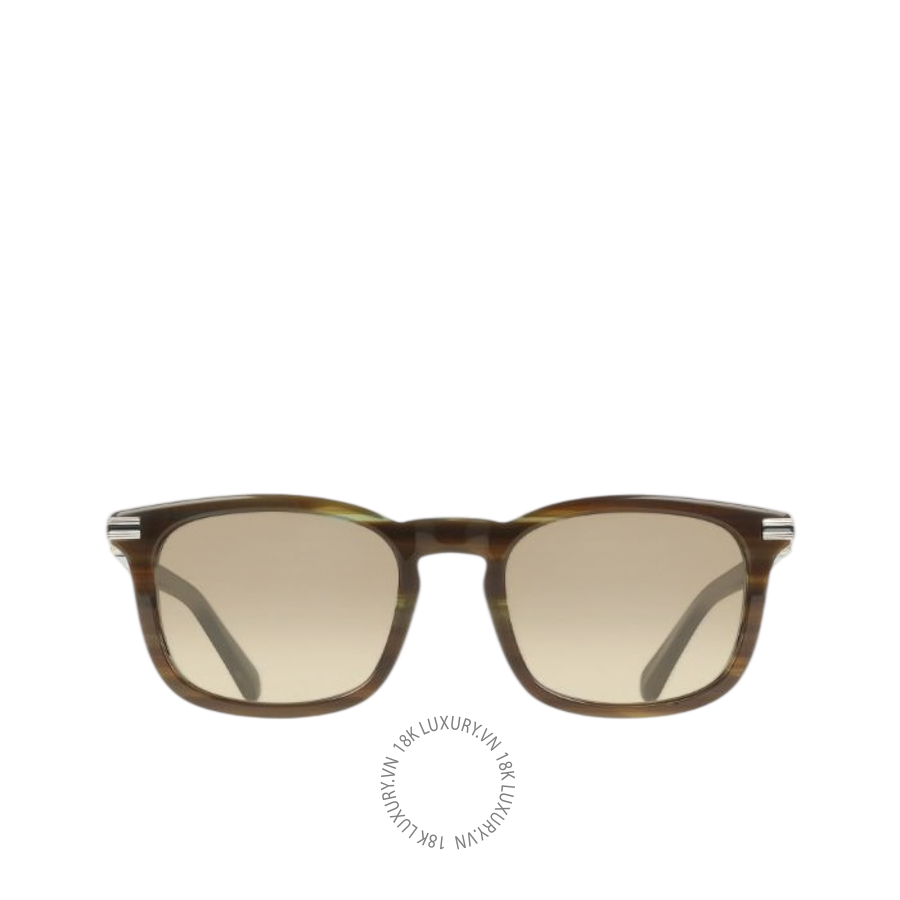 Kính mắt Salvatore Ferragamo Rectangular framehorn brown 51H120801858 GLGD013