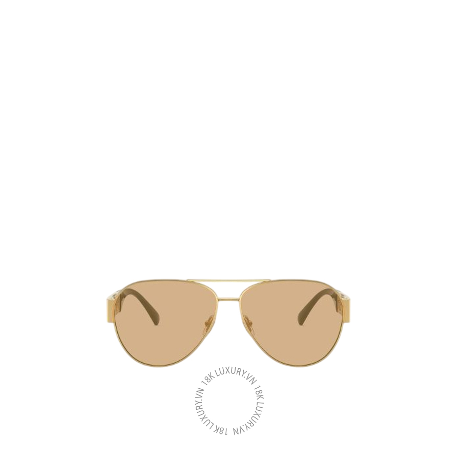 Kính Versace Greca Pilot Sunglasses O2289-O1002D861_RTU_TU_ONUL VSC701