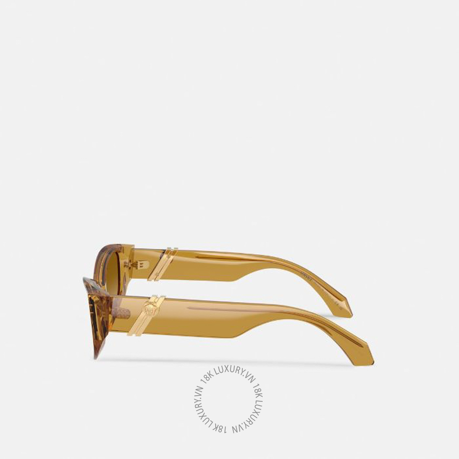 Kính Versace Peggy Cat-Eye Sunglasses O4520U-O53472L52_RTU_TU_ONUL VSC663