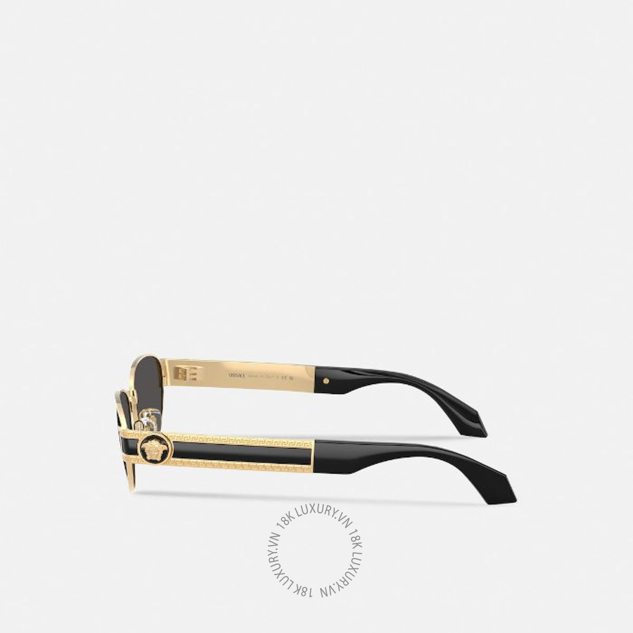 Kính Versace Vesta Cat-Eye Sunglasses O2304-O15238756_RTU_TU_ONUL VSC667