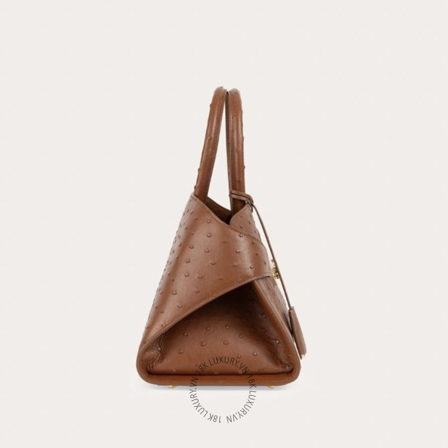 Túi Xách Đeo Chéo Salvatore Ferragamo Hug handbag (M) Brown 219199796786 MTRK261