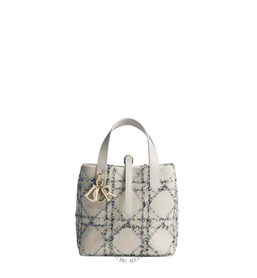 Túi Xách Đeo Chéo Small Dior Toujours Vertical Tote Bag M2870ODKD_M67I AMXM173