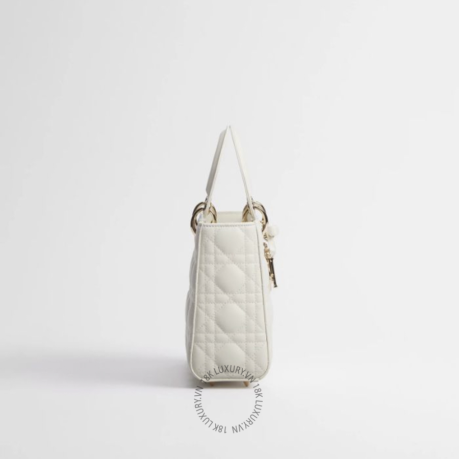 Túi Xách Đeo Chéo Small Lady Dior Bag with Strap M0531OUQA_M030 TTTP010