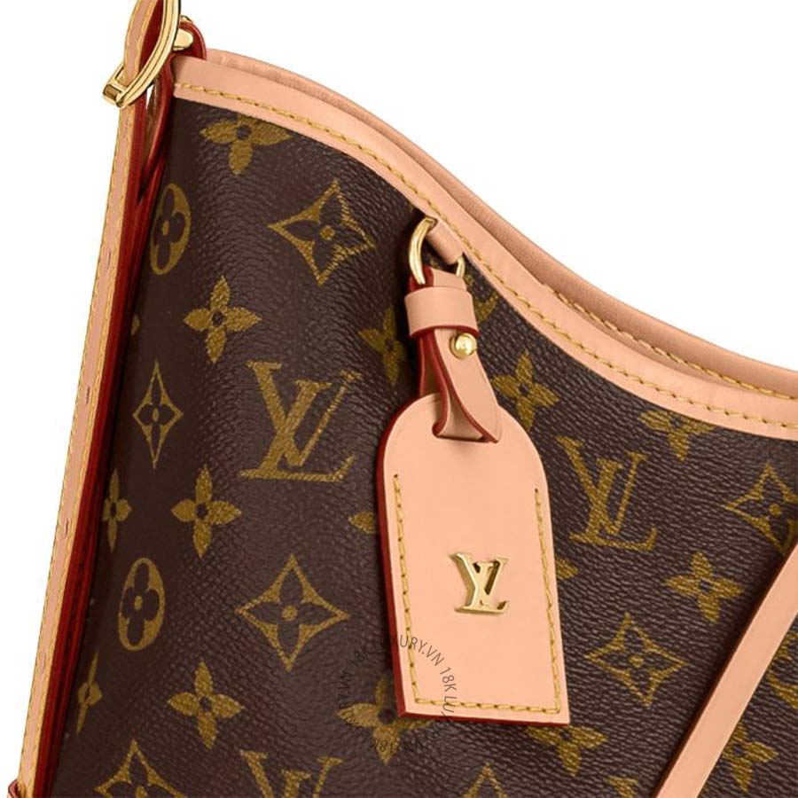 Túi xách Louis Vuitton CarryAll MM M46197 NTLV165