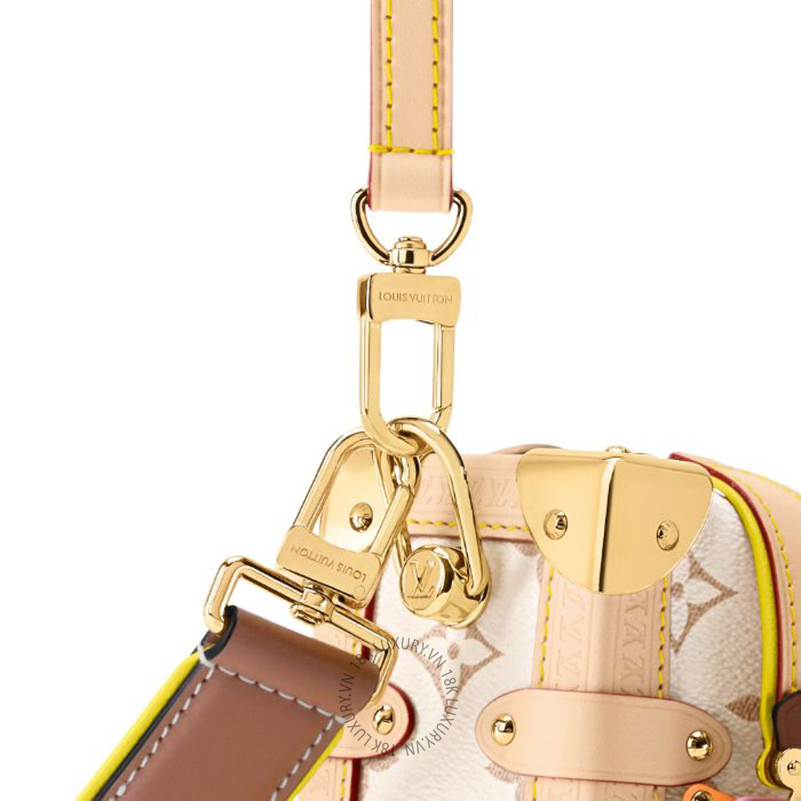 Túi xách Louis Vuitton Side Trunk MM East-West M29913 NTLV077