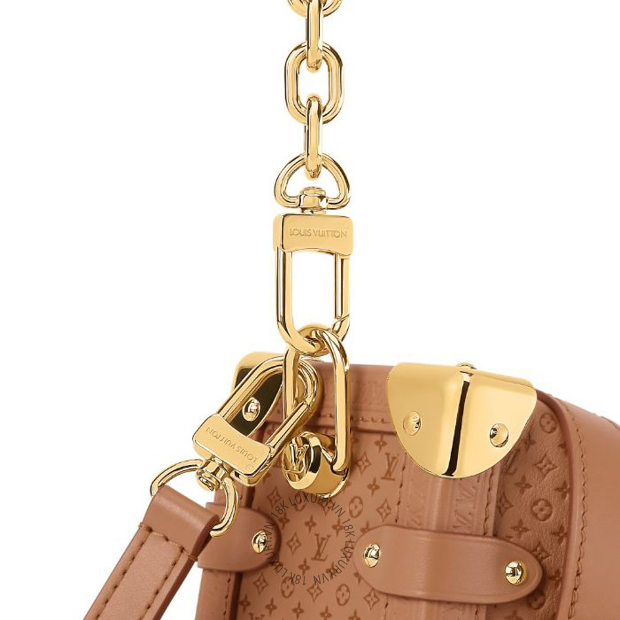 Túi xách Louis Vuitton Side Trunk MM M29431 NTLV211