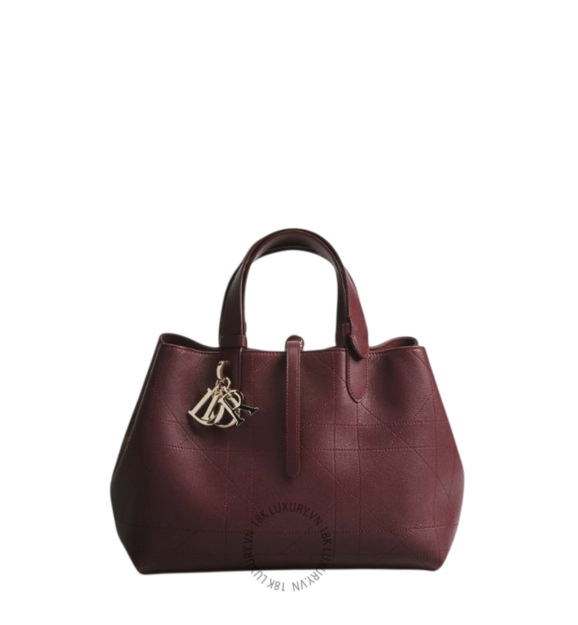 Túi Xách Medium Dior Toujours Bag M2821OHJS_M72R AMXM215