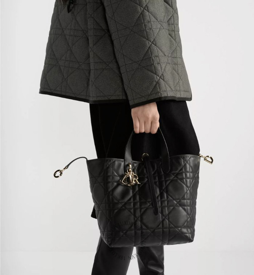 Túi Xách Medium Dior Toujours Vertical Tote Bag M2836OSNW_M900 AMXM283